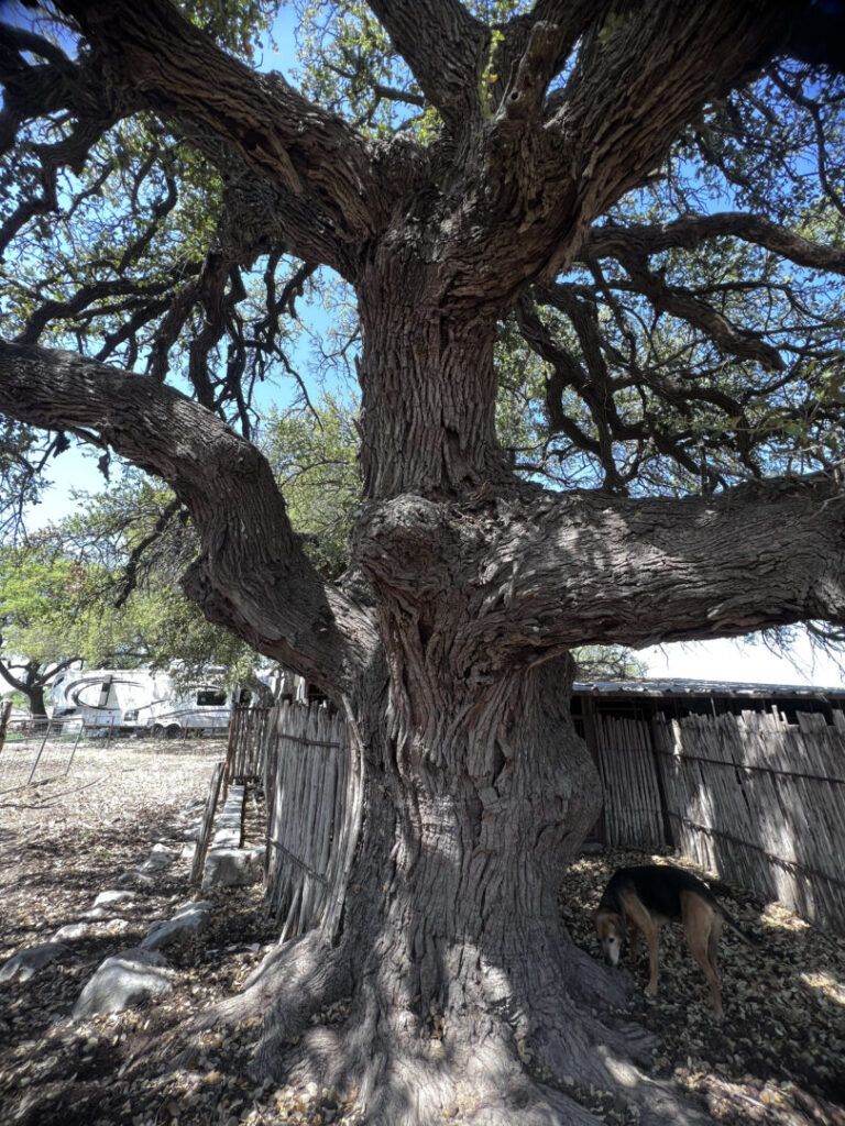 22_5e92ee3d-e7da-4b33-a8e5-3d7294c9c626