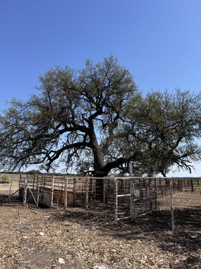 26_4bbfbdbe-74e5-4eb0-8fdc-f0b268988b5b