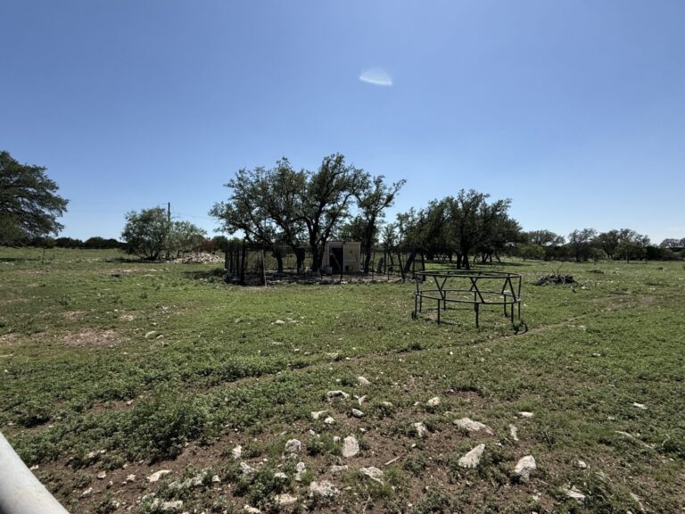 28_bfb5d37a-9f22-442c-a65c-dc6fe444ab9a