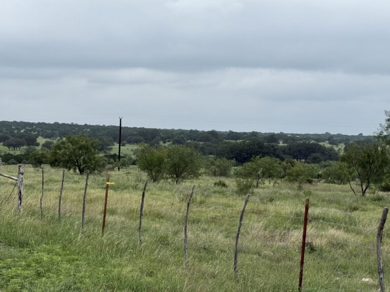 31_996e0cf1-dde2-4cdd-a1c8-fa3a3bcdc7ae