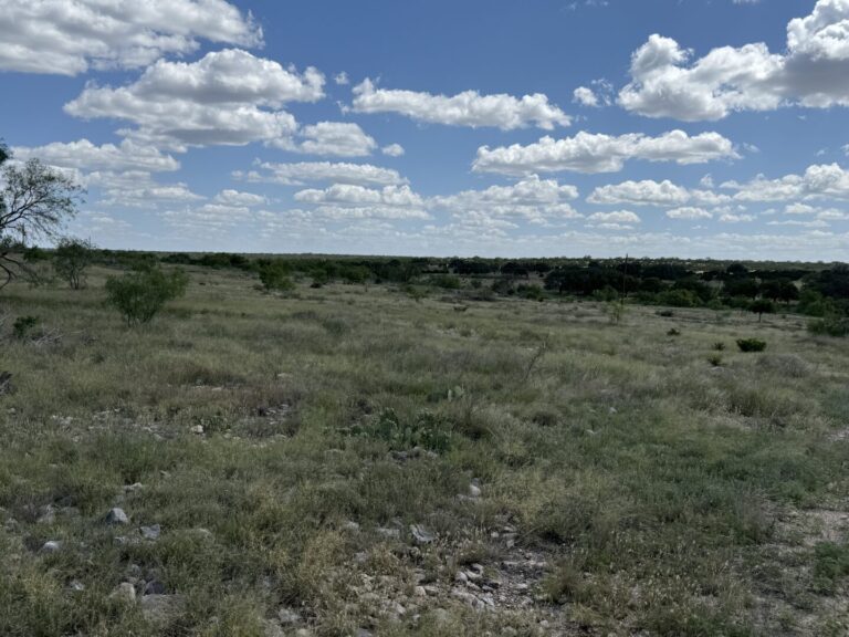 32_7baa3a85-98a8-4cd4-92f6-bd877ca9549b