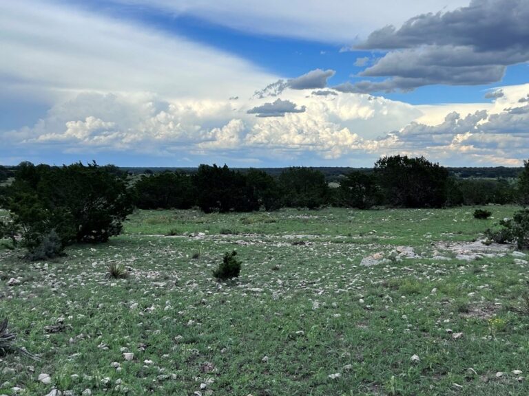 37_e28b8c2d-973a-4a30-ae32-6595a78b15af