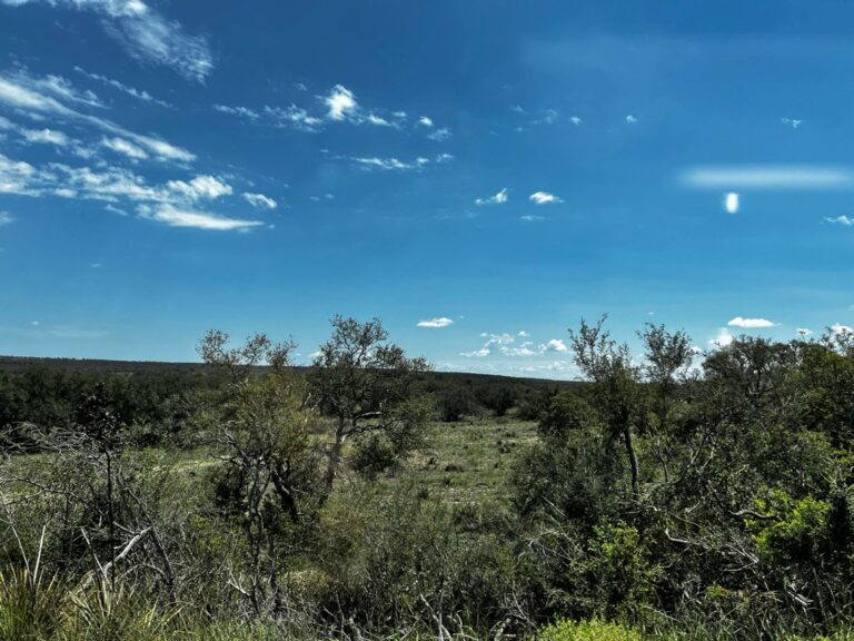 38_9bc55bbf-a339-41bd-bddb-a9c04f86f61a