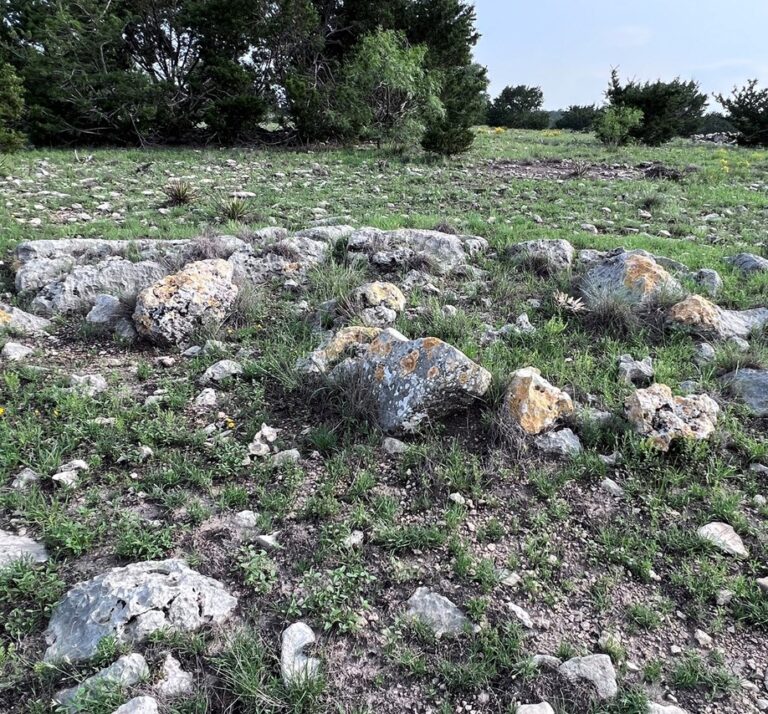 39_26e9db2f-0ea8-45c2-a0fb-f29eb3cc7e06