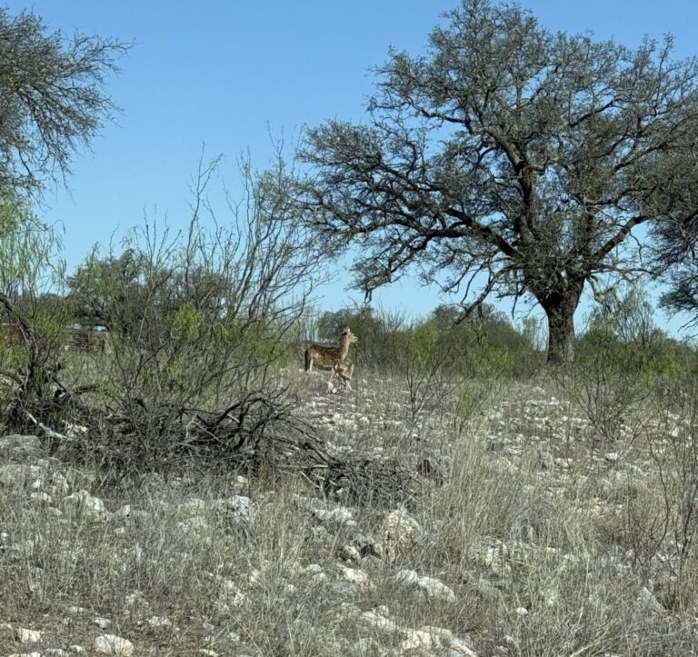 40_84899f5e-b33c-4260-a8ac-255827d1d0ee