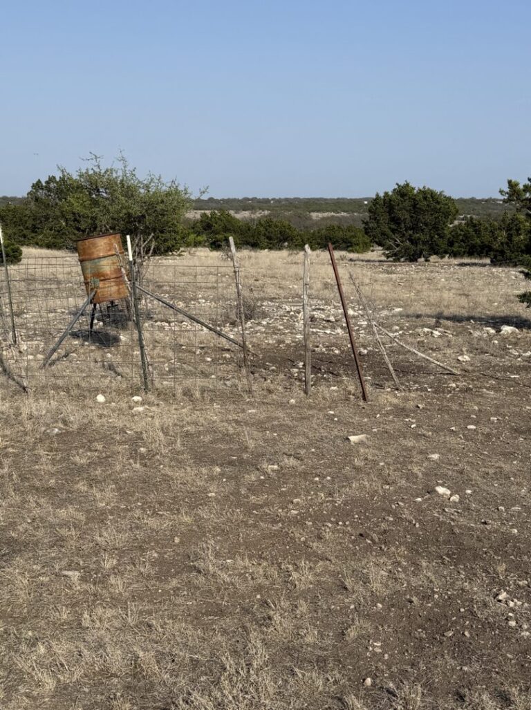 41_8c263d3a-62b9-45bd-982e-79cc4ed0e5cb