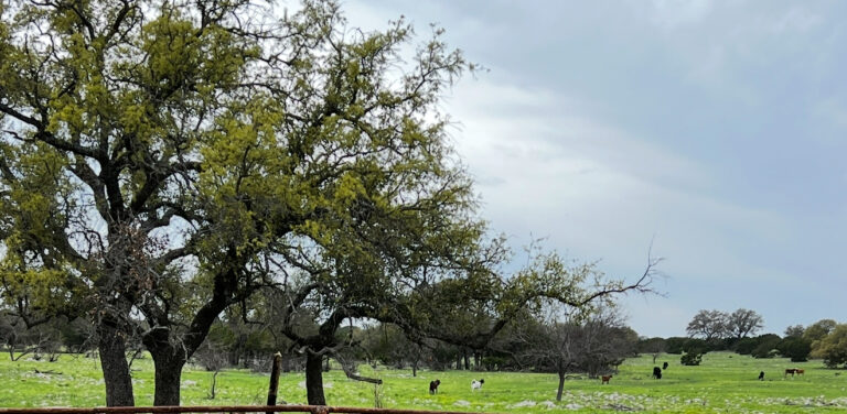 45_a00db83e-5391-4f95-a552-eb43c0e8bcab