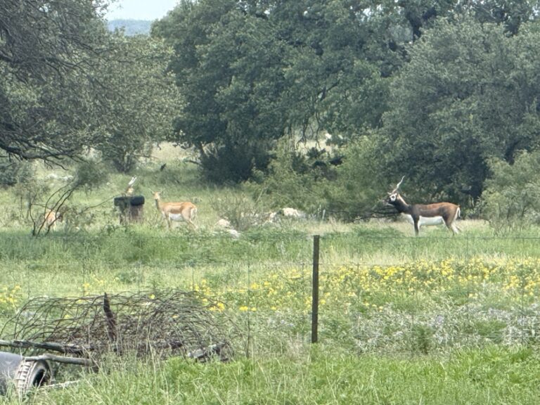 46_ad037a26-a844-4bfe-b53e-af4c9b6f3190