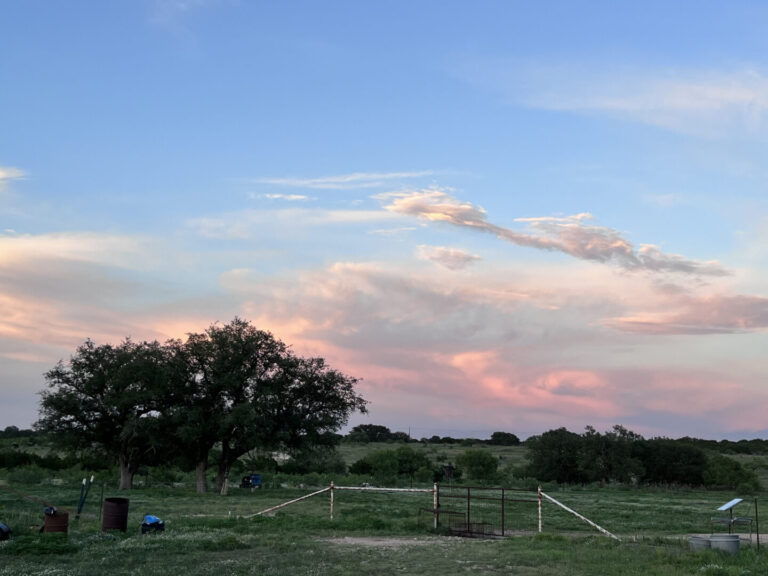 49_38ae8964-ed81-420d-bbd9-5f8b26e9b89d