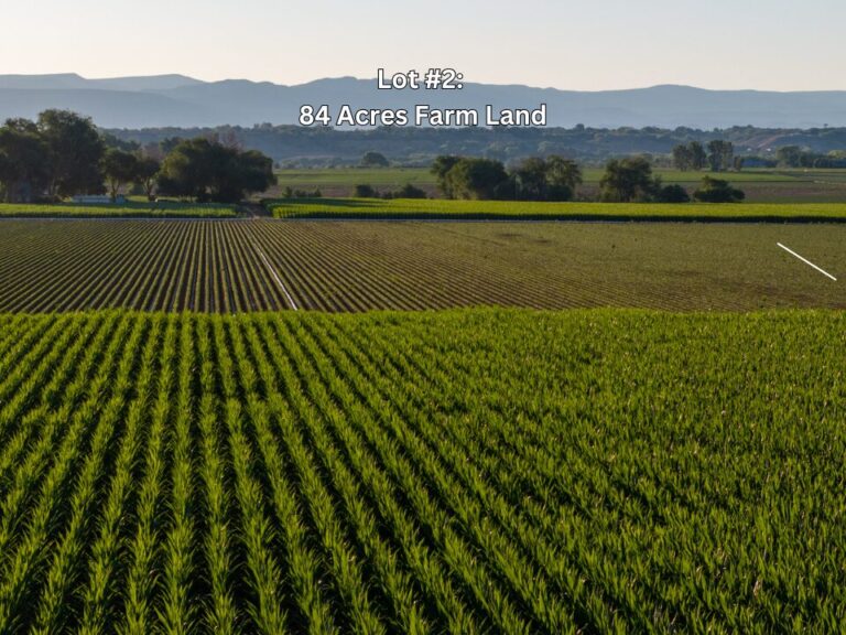 14_c8ab3179-b9ef-48d7-9bc2-0dab297a5417