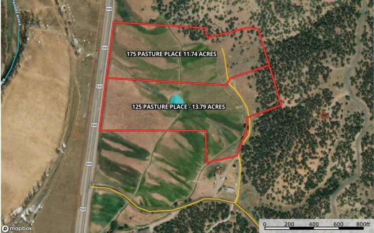 19_5431c1f3-b983-4132-8234-22247d672761