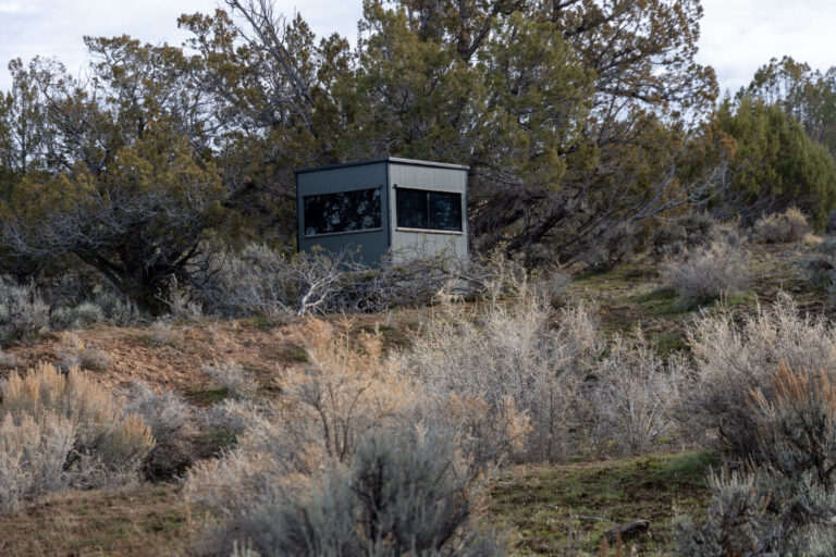 47_82590f1f-4dd5-493e-b319-a8f84b9e0cb9