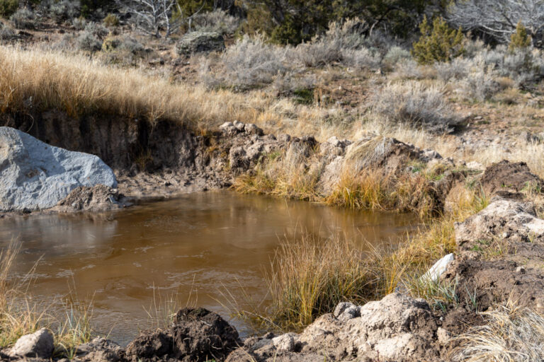 49_af424d21-bb69-45db-b6c5-580323a4c80a