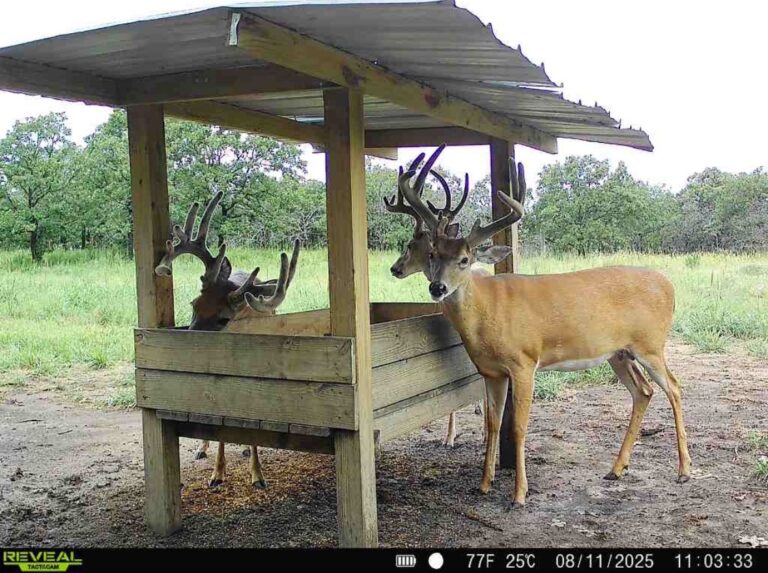 03_7d3adff1-77e6-4489-8db2-6fe27e6b0ea4