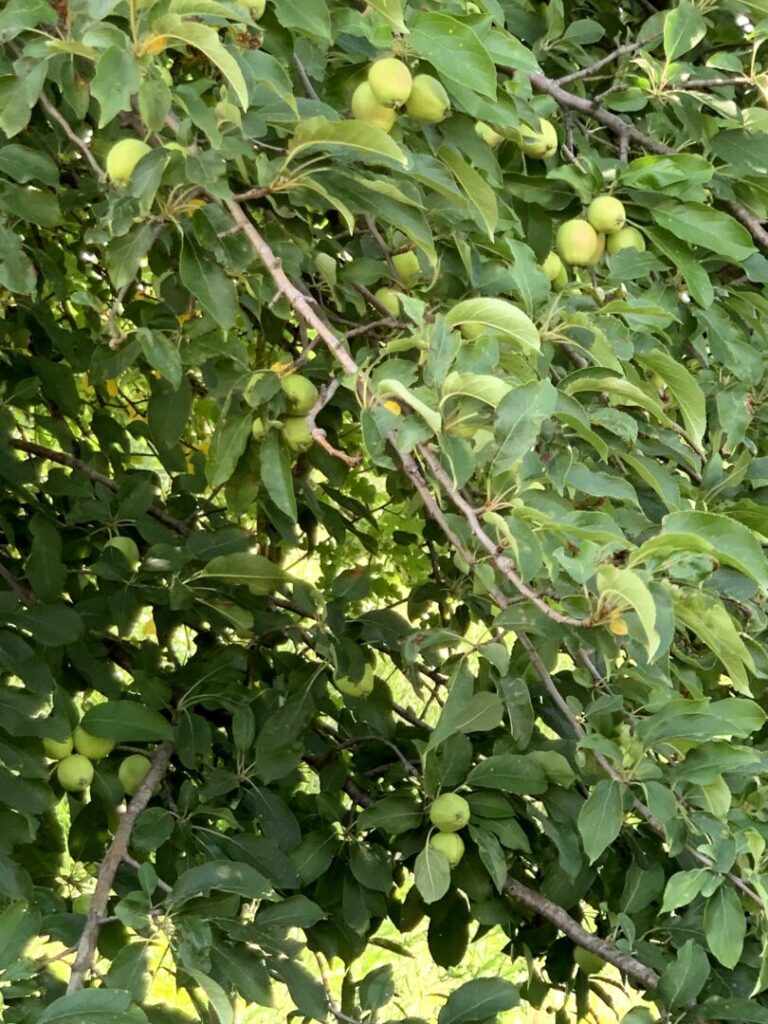 06_a2cfcf99-6a98-423e-860f-13ffacc898fa