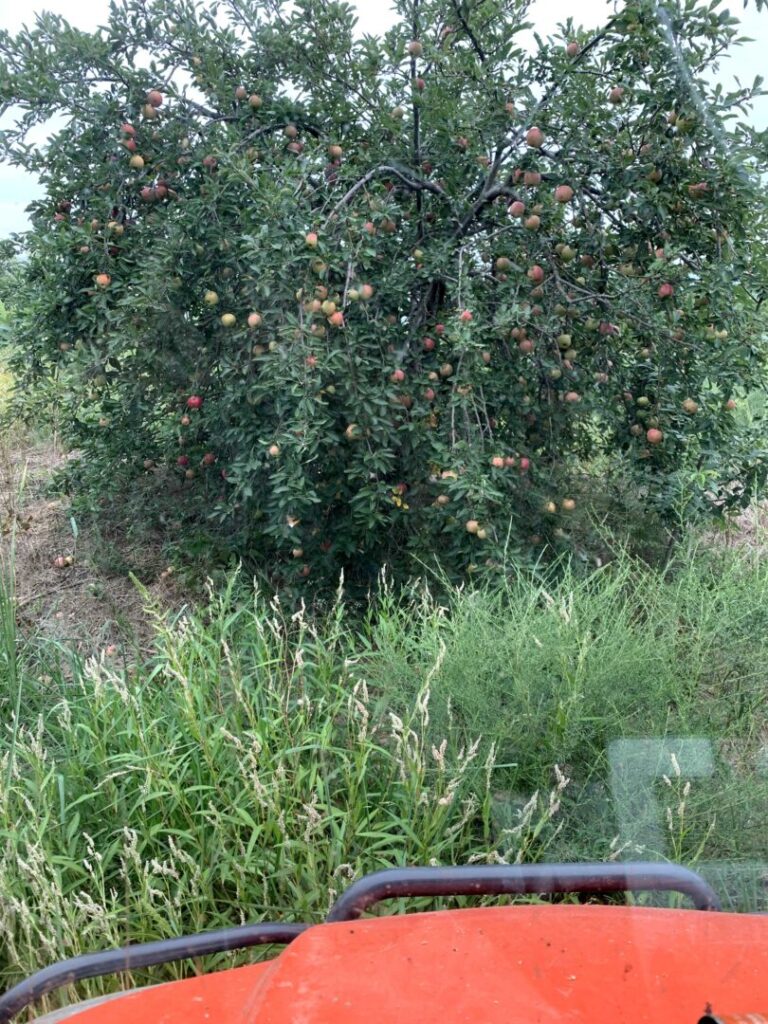 07_9b0088bd-f182-4b1c-bb5b-20cb1115bf5b