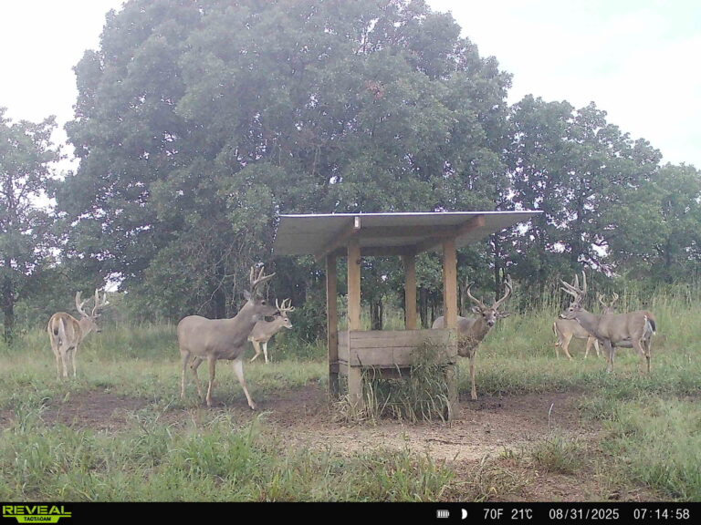 11_66ffd729-269d-48d3-96db-ada2acde535b