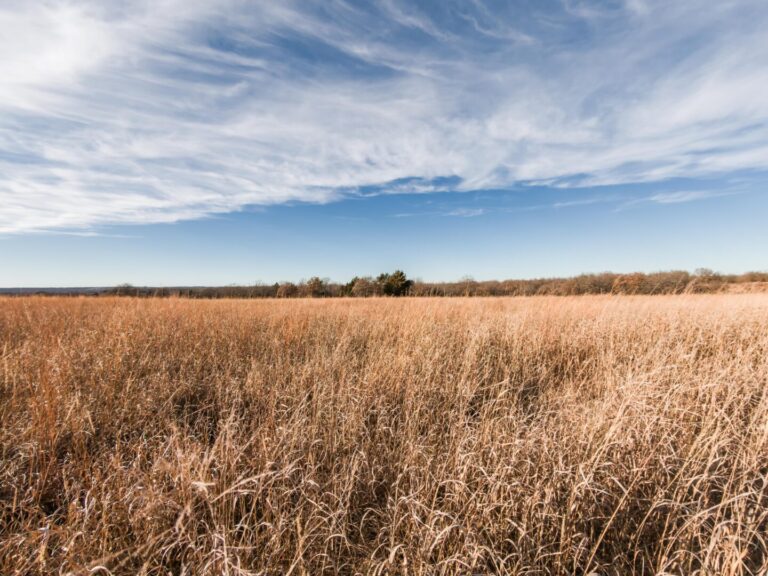 1_1.810480_10262.044_10262.044_4010.158_2998.183_-0.154_-0.017_89.619_0.000000_0.000000_0.000000_0.60950291_-4.19976234_9.60663319_0.00000000_0.00000000_8064_6048_89_197632 0.002930_-0.001953_0.019531_0.005326_0.006392_-0.006392