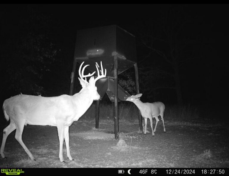 47_509d2698-4a8b-4f12-b317-b02ea79b2aeb