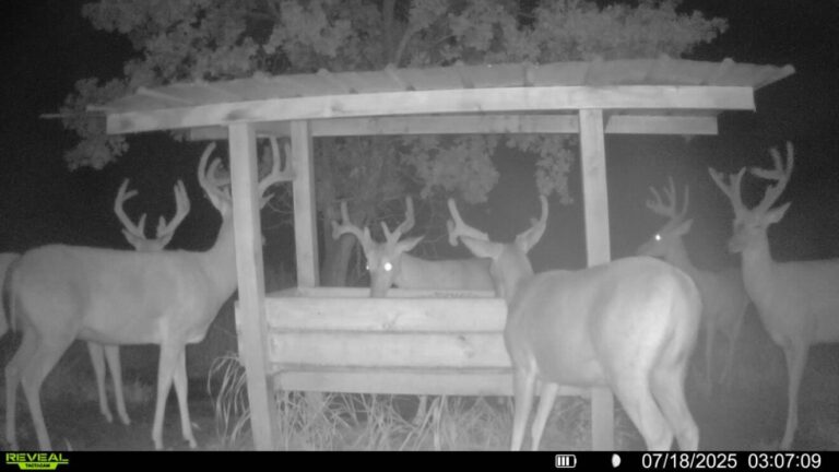 48_ecdf427d-d8d7-4074-98a6-44e31e3b7a99