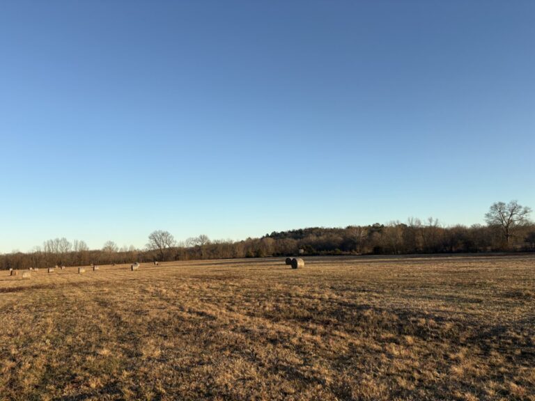 05_0e95fc31-9716-4121-9116-75aa865c47aa