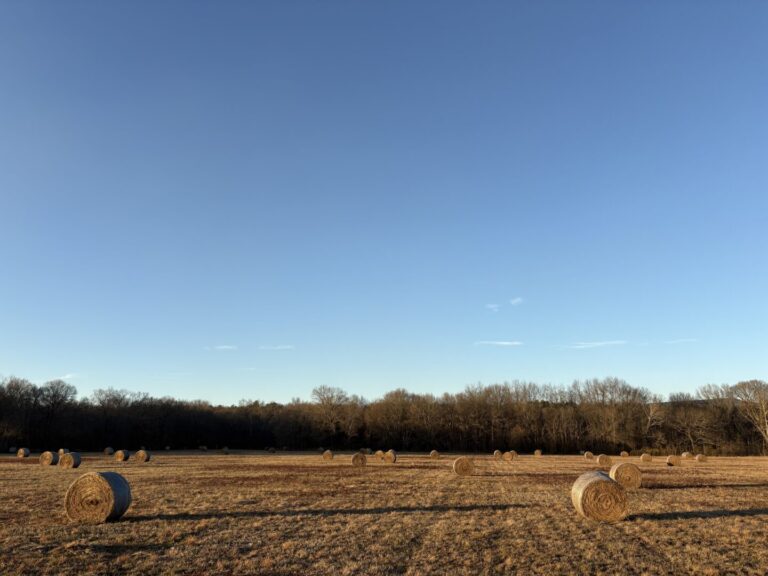 08_c91fa420-d389-4059-8e02-b1fb7e13f09c