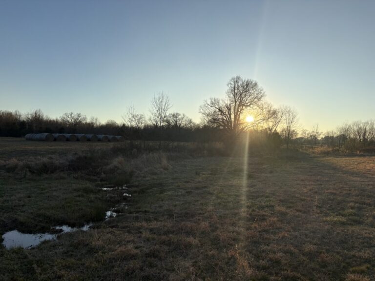 10_6dc16dfe-00cb-439c-8e9b-ee9ed165c0c9