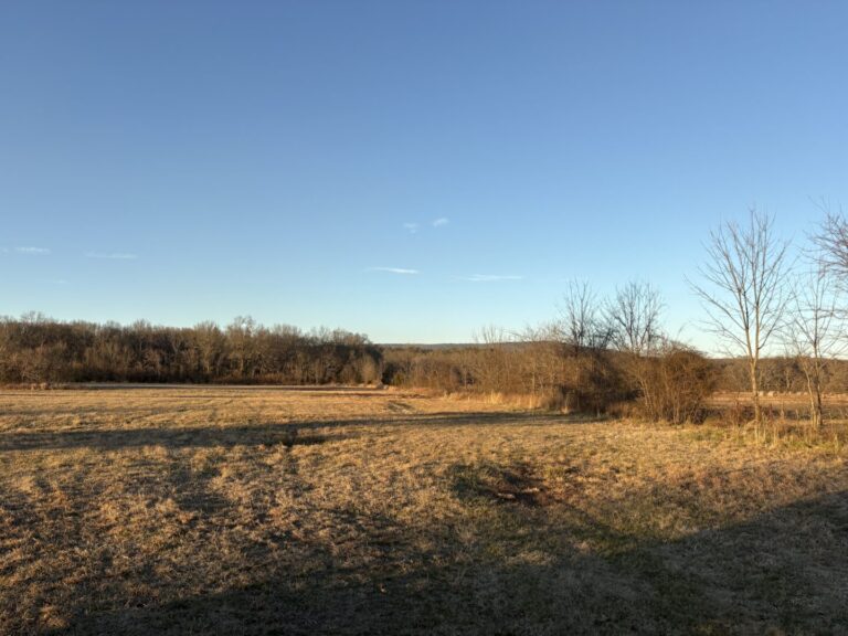 11_01ce5664-dc96-442b-bf6e-96f0f8eadd6b