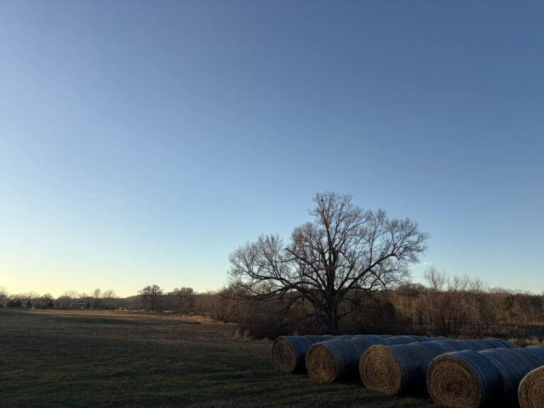 14_de6cae6b-8f02-48fa-8093-1e97111d3808