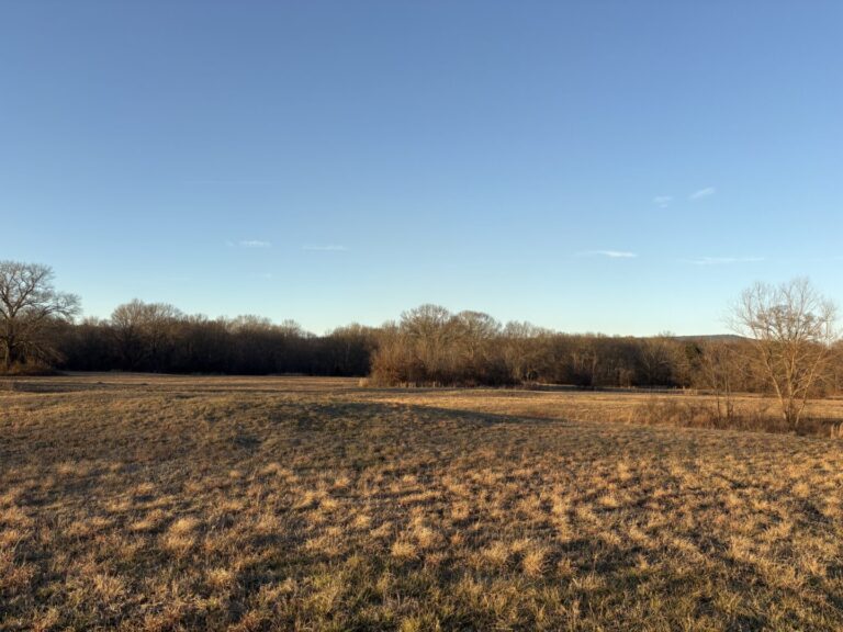 15_c4cd7fd2-dc51-4a09-8489-f001d11c8a86