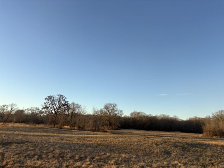 16_6907a012-0f46-4d4a-b63b-2751635bd65b