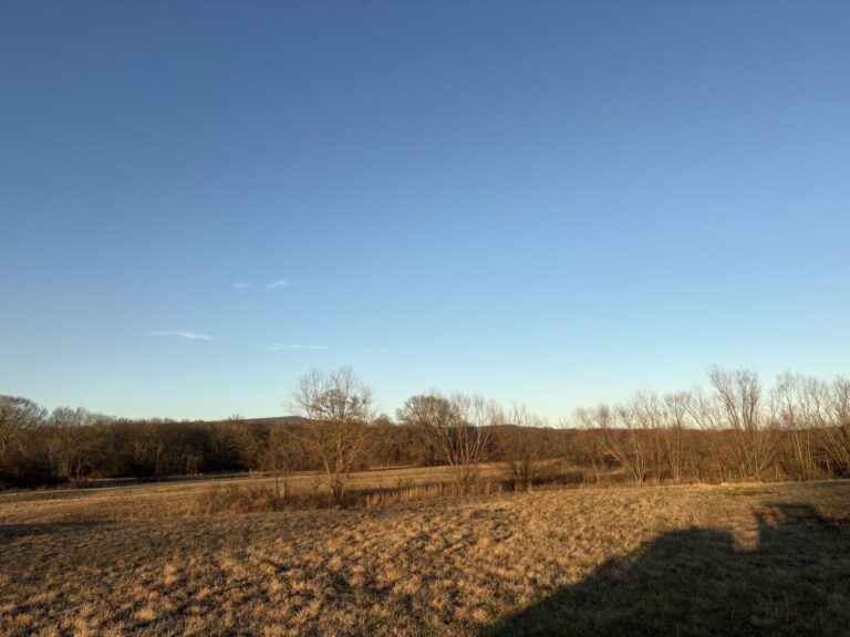 17_cb358d12-90e7-47fc-ae7a-bc9517d815cb