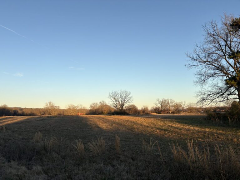 18_cf3bb263-fe8d-4c26-a51b-a225840b7414