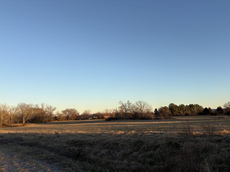 19_53109ab2-9c96-4faf-802f-e9b432c21c7a