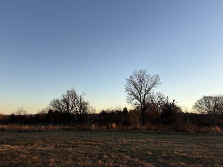 25_aefb5d2b-22f2-437d-97b0-f4cffe5ac991