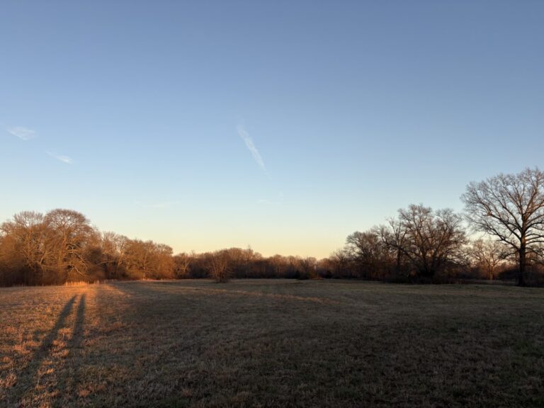 26_58c2ad45-0b6d-4e65-ab4e-e280796a8d80