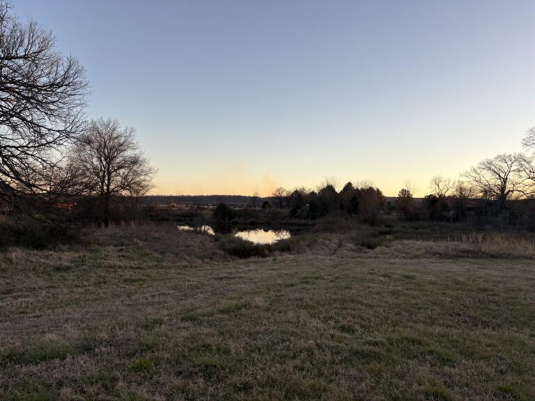 31_1d2c219a-8df4-4db6-a997-060c0ee971df