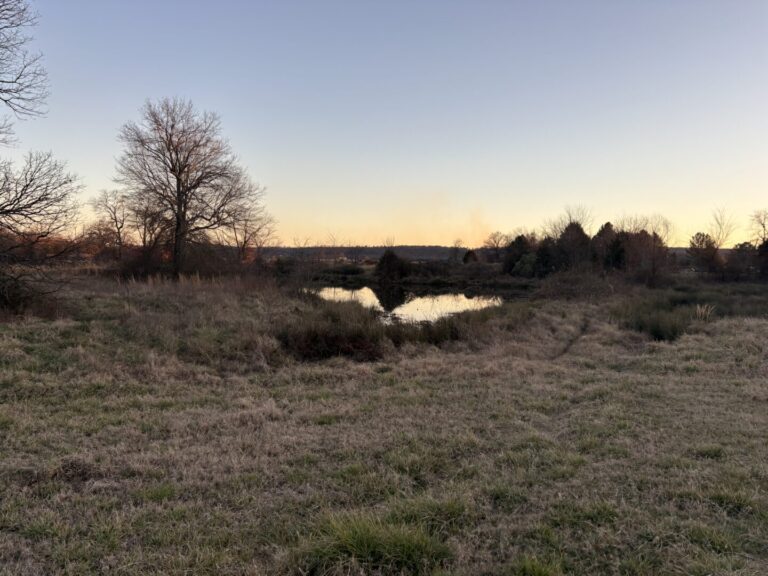 32_9b95a1c3-e73c-443e-ae22-87a1a6b7234f