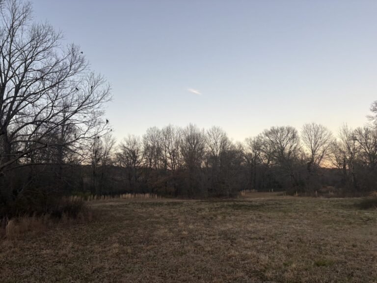 33_3b2357e2-1f42-44d8-8e5b-03d211281a4e