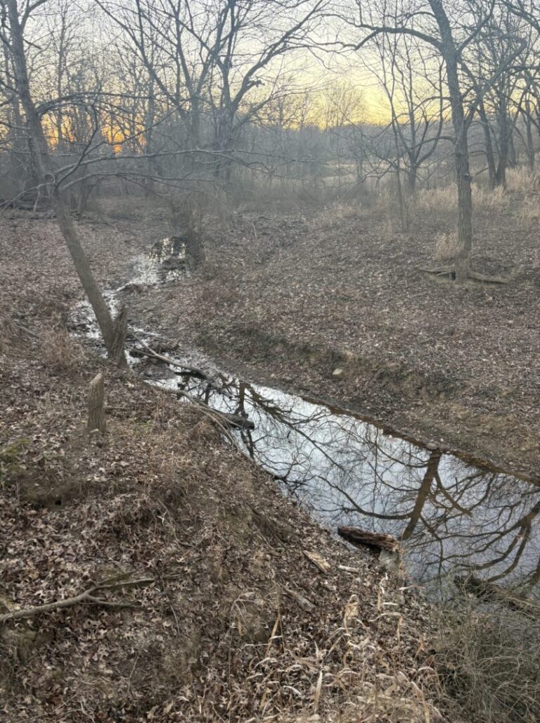 34_64312cab-5f71-41a1-ad65-ef817fa5a47b