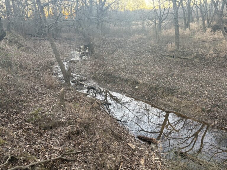 35_a5b1ae8a-4b17-4b90-b28f-f3d5f4318300