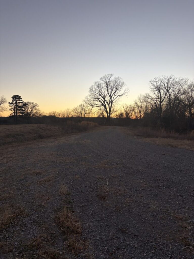 38_08aaf7f4-46e3-4a6c-a9bb-9bbb4affe9d5