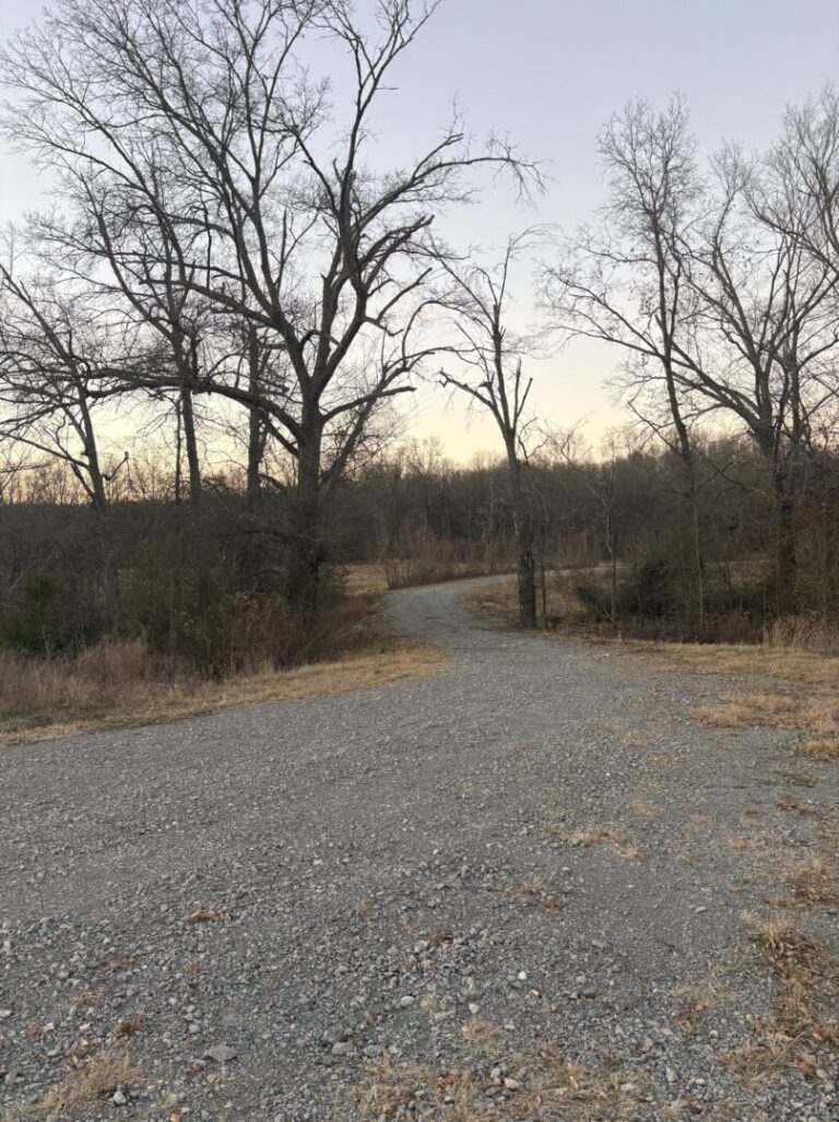 39_3e887f75-fd5e-4dbf-938b-3143794a47b1