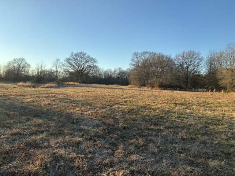 40_e1757710-6b28-41d8-b71c-360c0b53ee53