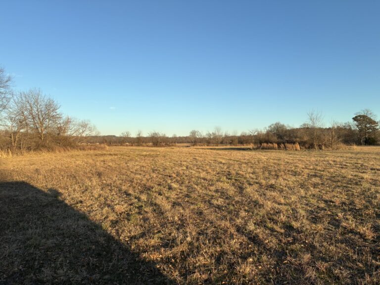 41_e424eadd-69b2-42e3-a79e-94b49842ef42