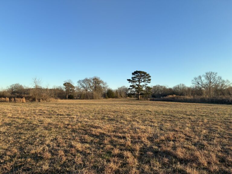 42_e205636f-8b91-406e-b7da-e8e2df0baaf8