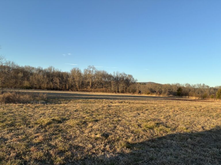 43_f795a51c-20c8-4359-bbf9-8165d8b913ec