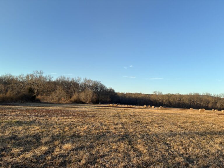 44_874e6194-d77f-4f1c-883b-a8c7fdc76e27