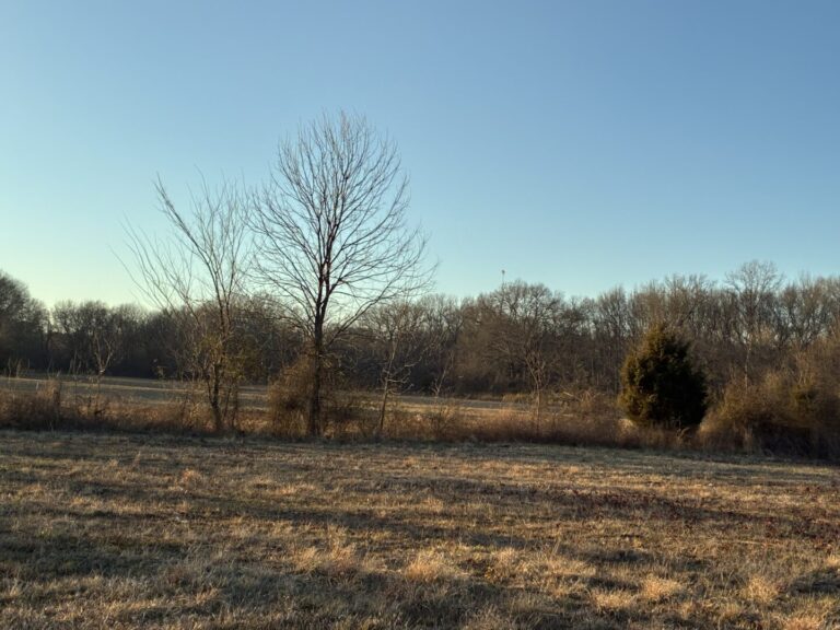 45_750919fe-66a5-4f3b-af67-0a0dfd079760