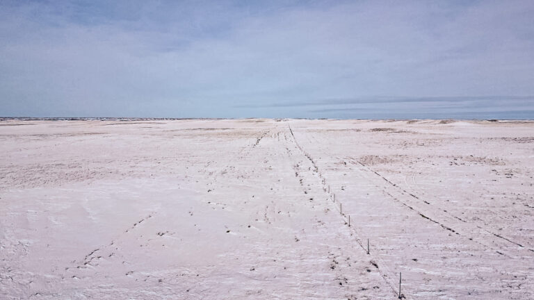 03_176e7bab-3c3e-44d0-b39f-ab4dd27ce994